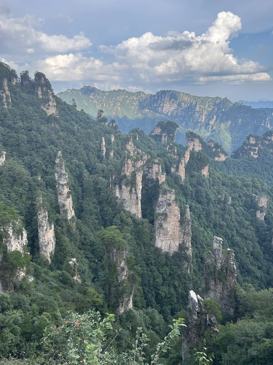 A wide view over Wulingyuan's forest of quartz-sandstone pillars receding into the haze — the columns that inspired Avatar's floating mountains.